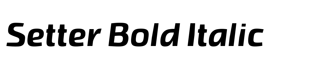 Setter Bold Italic